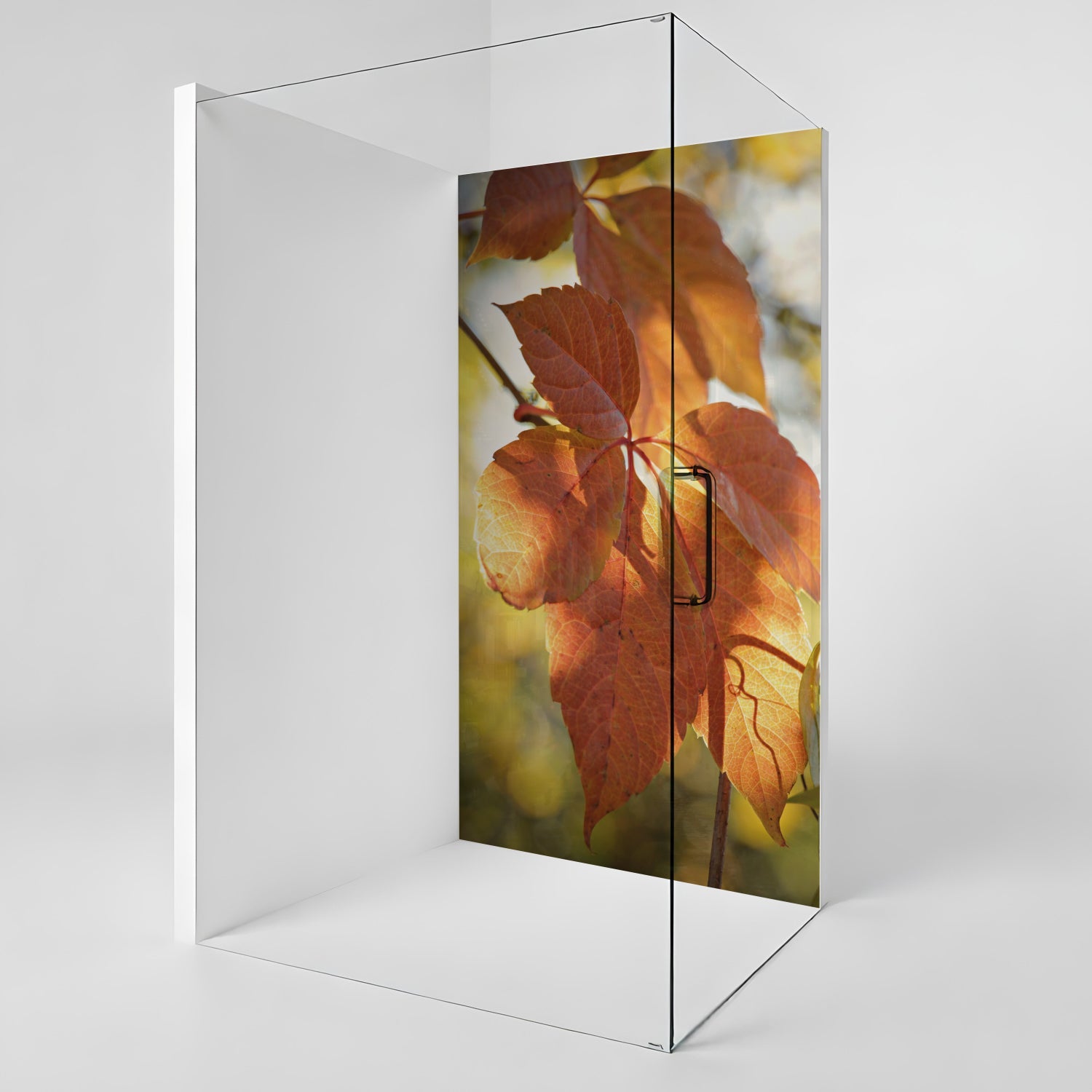 Duschrückwand nach maß