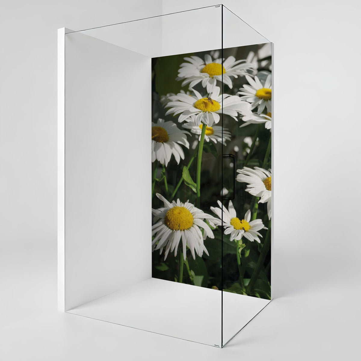 Duschrückwand nach maß