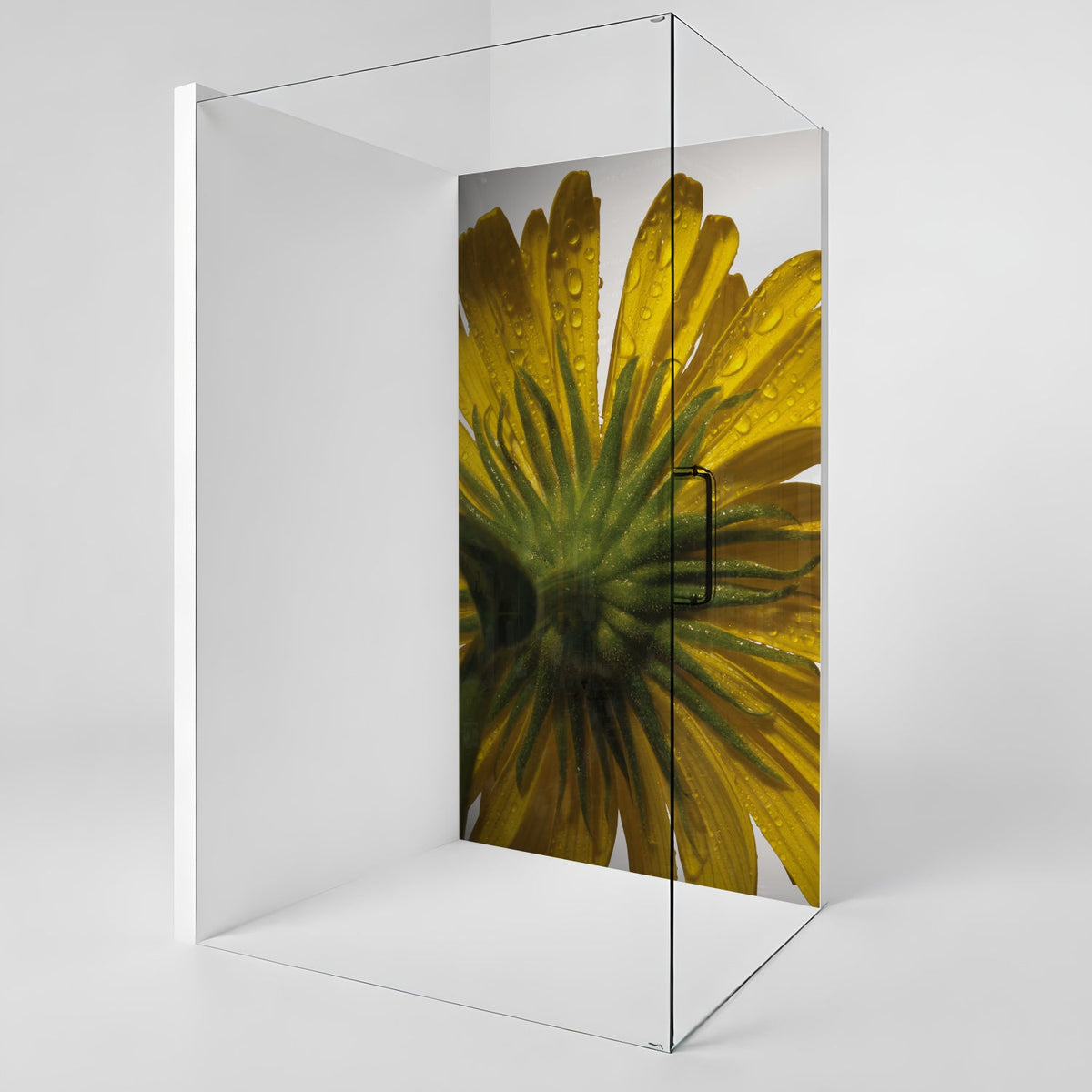 Duschrückwand nach maß