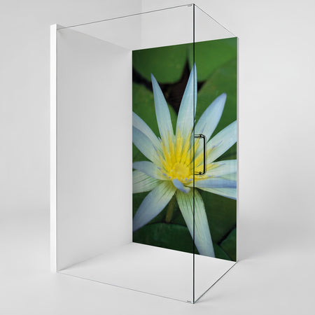 Duschrückwand nach maß