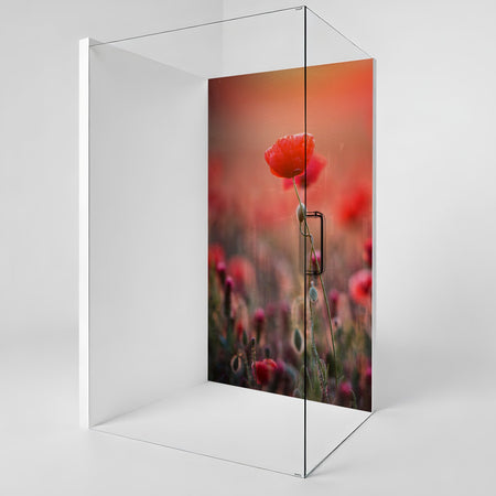 Duschrückwand nach maß