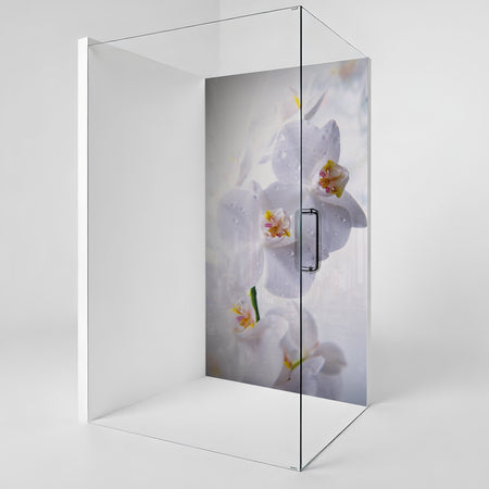 Duschrückwand nach maß