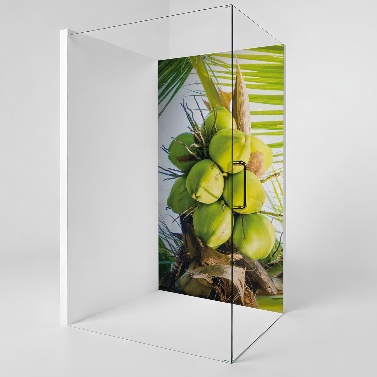 Duschrückwand nach maß