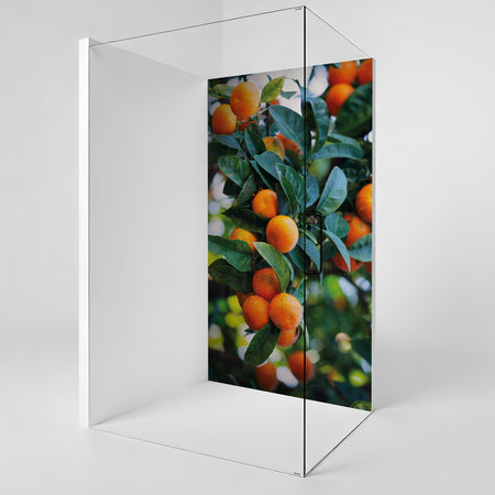 Duschrückwand nach maß