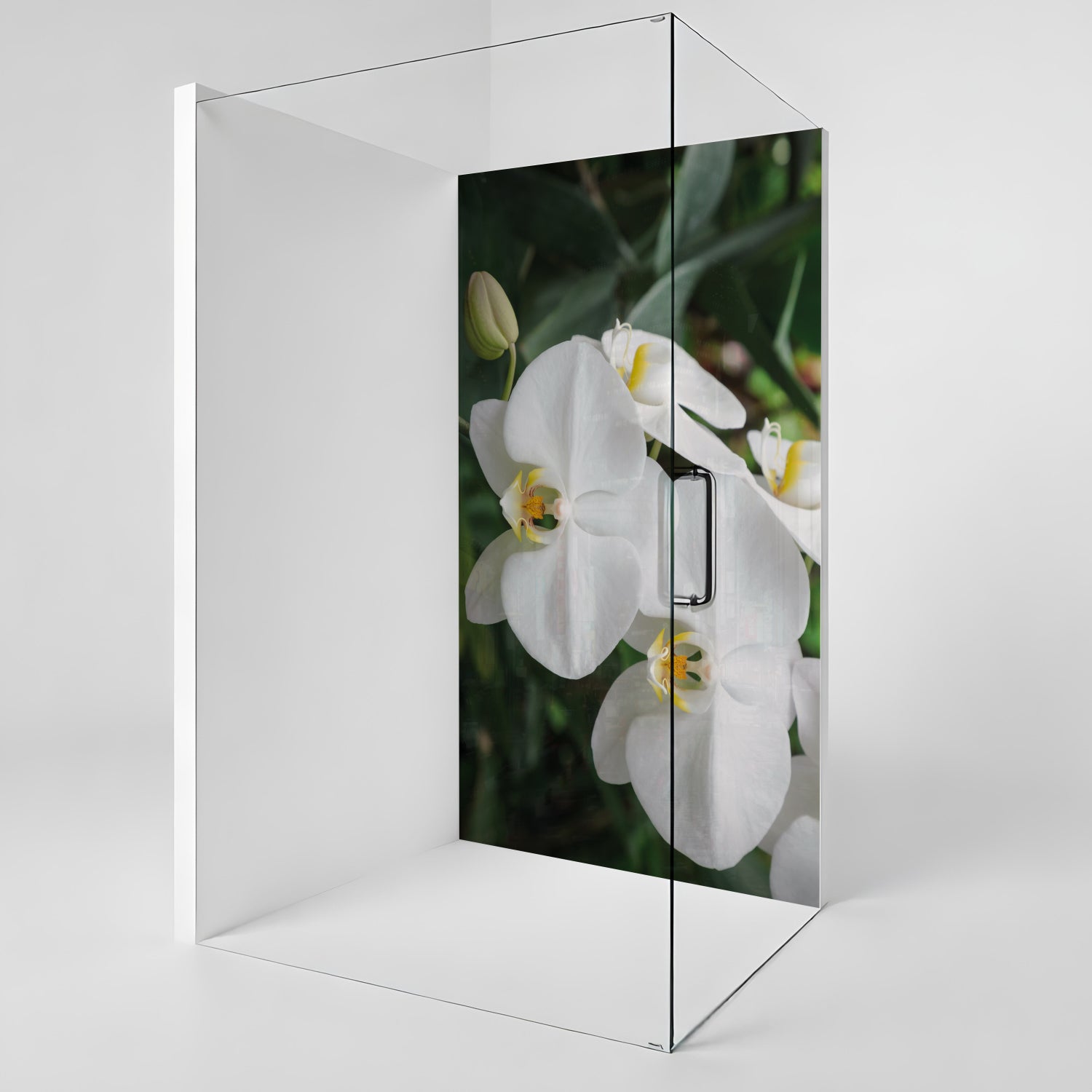 Duschrückwand nach maß