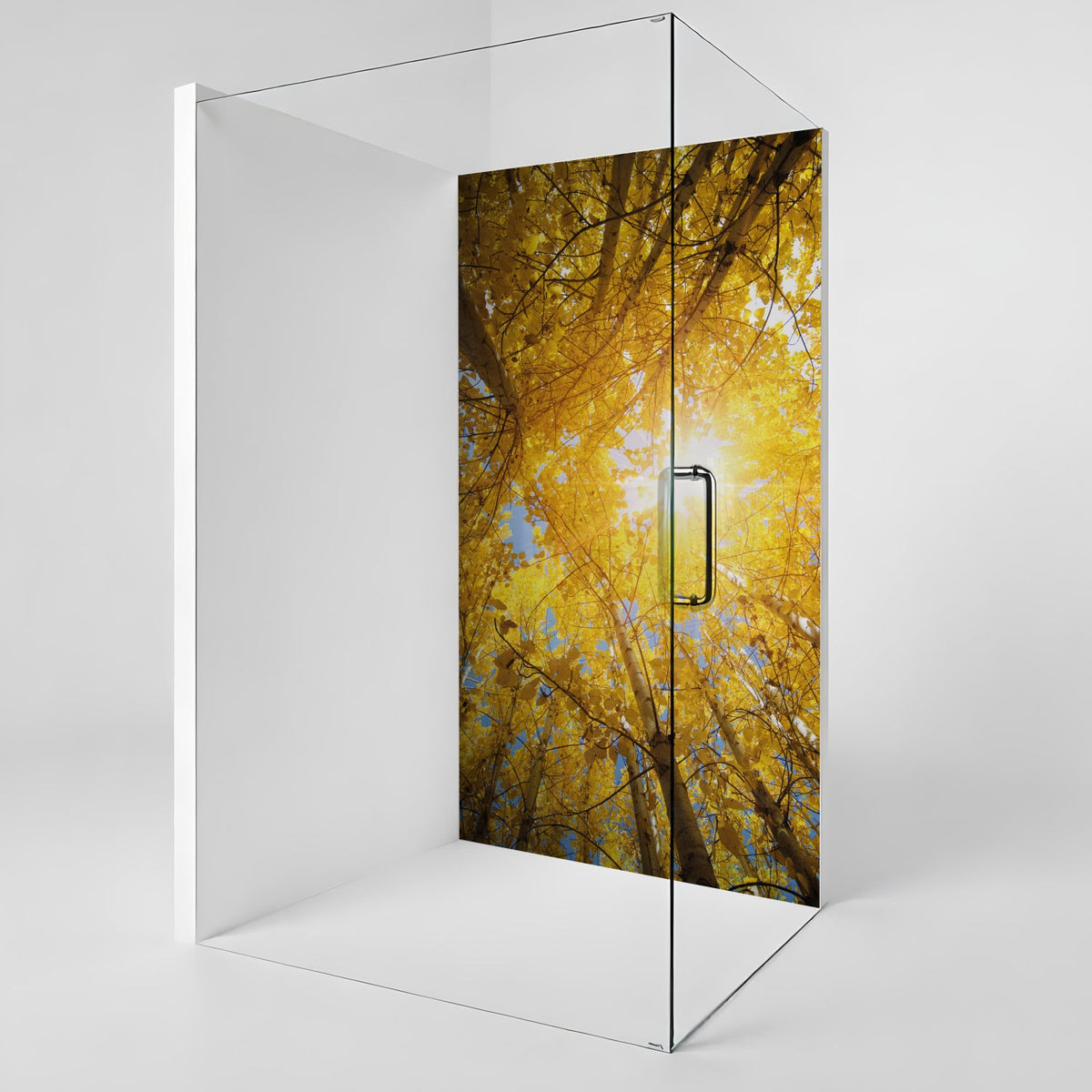 Duschrückwand nach maß