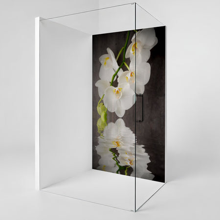 Duschrückwand nach maß