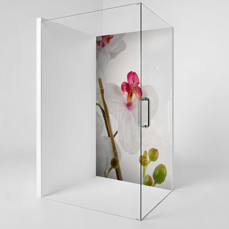 Duschrückwand nach maß