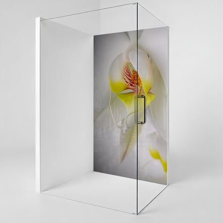 Duschrückwand nach maß