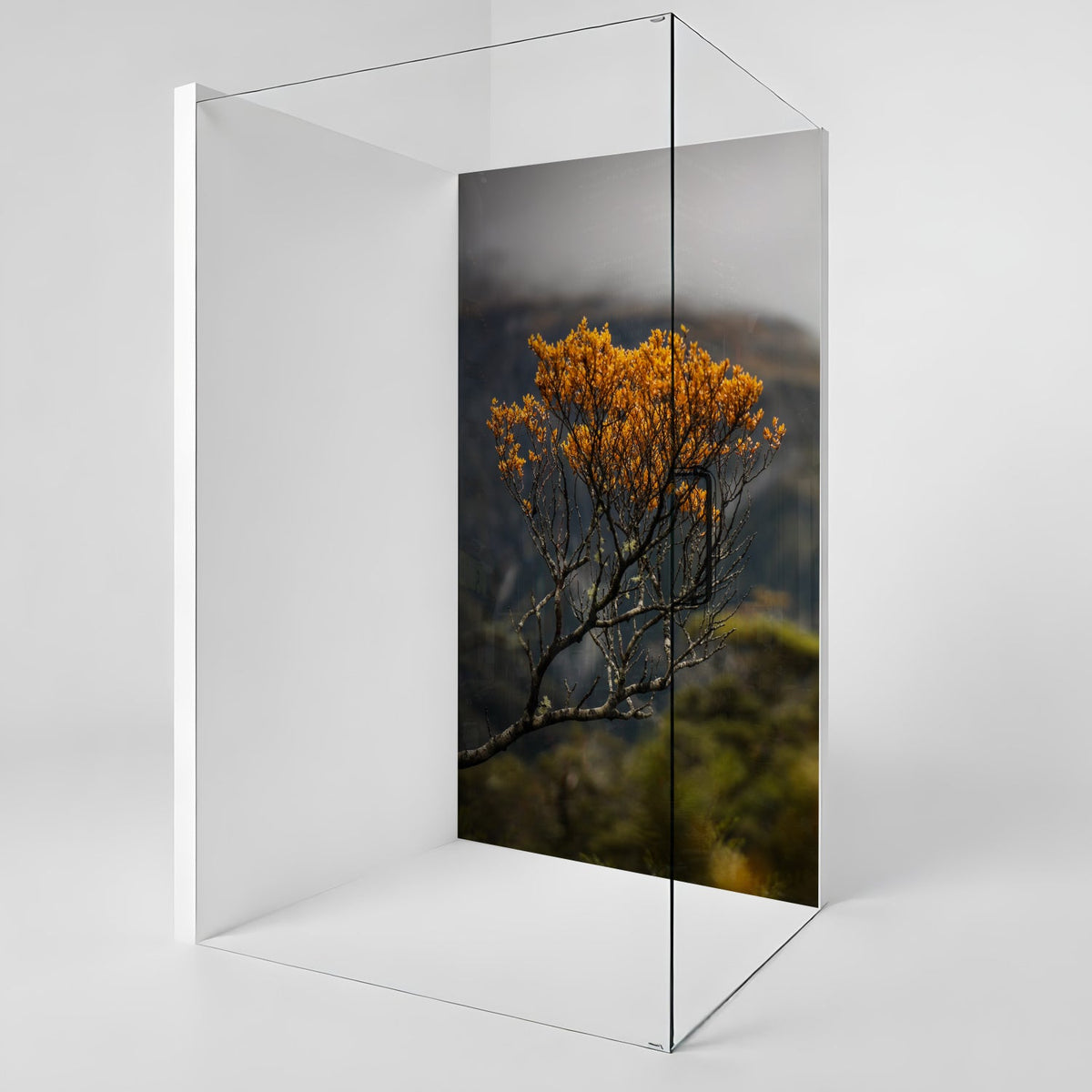 Duschrückwand nach maß