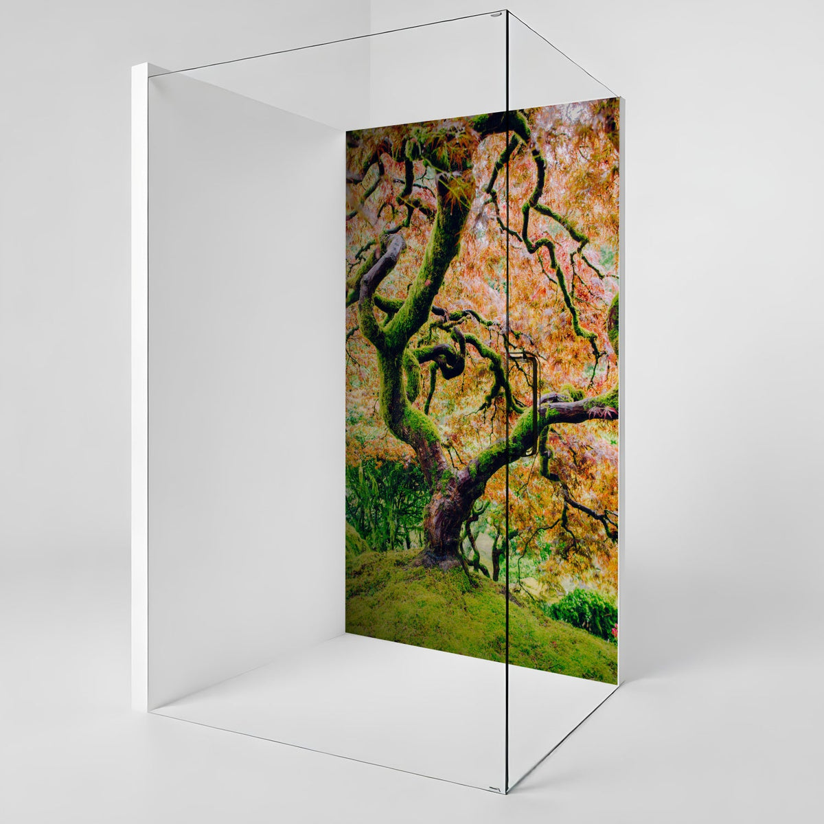 Duschrückwand nach maß