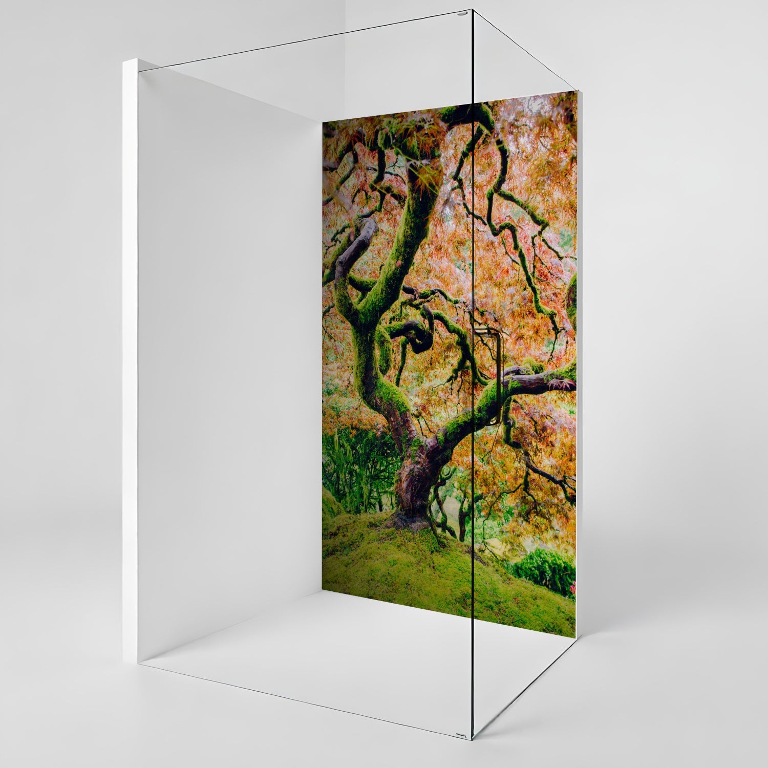 Duschrückwand nach maß