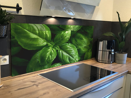 Spritzschutz Küche Basilikum