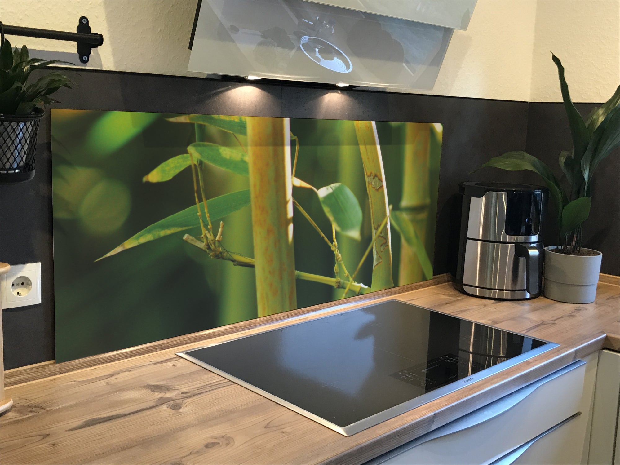 Spritzschutz Küche Bambusstamm