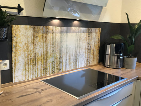 Spritzschutz Küche Birkenwald Sonnenlicht