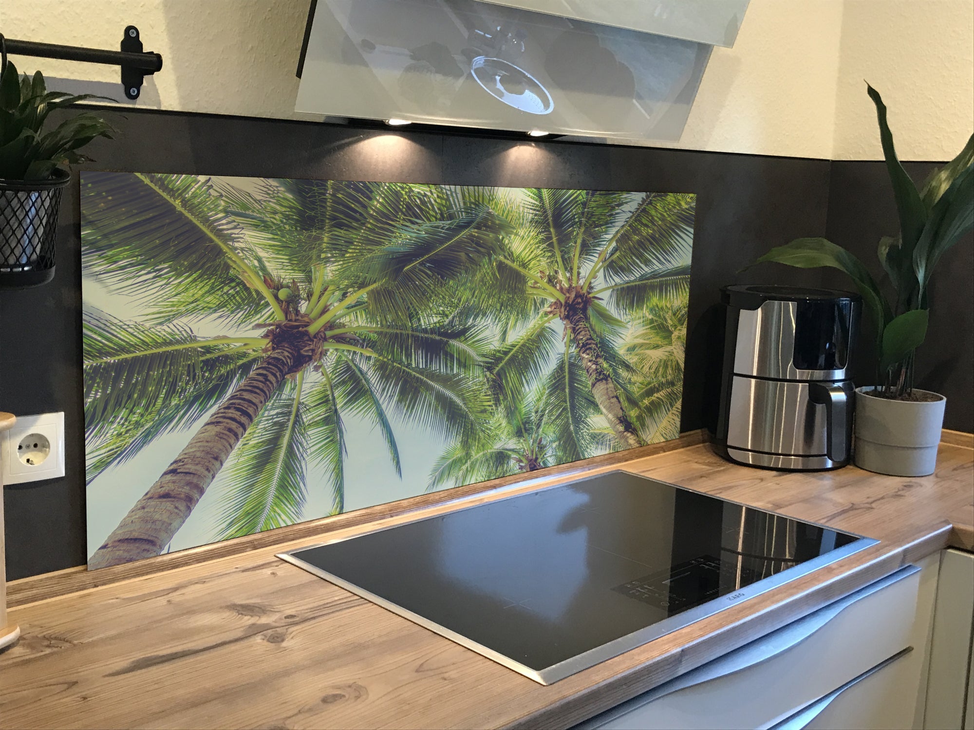 Spritzschutz Küche Palmen