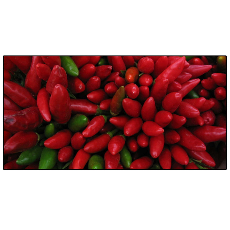 Spritzschutz Küche Rote Chilischoten