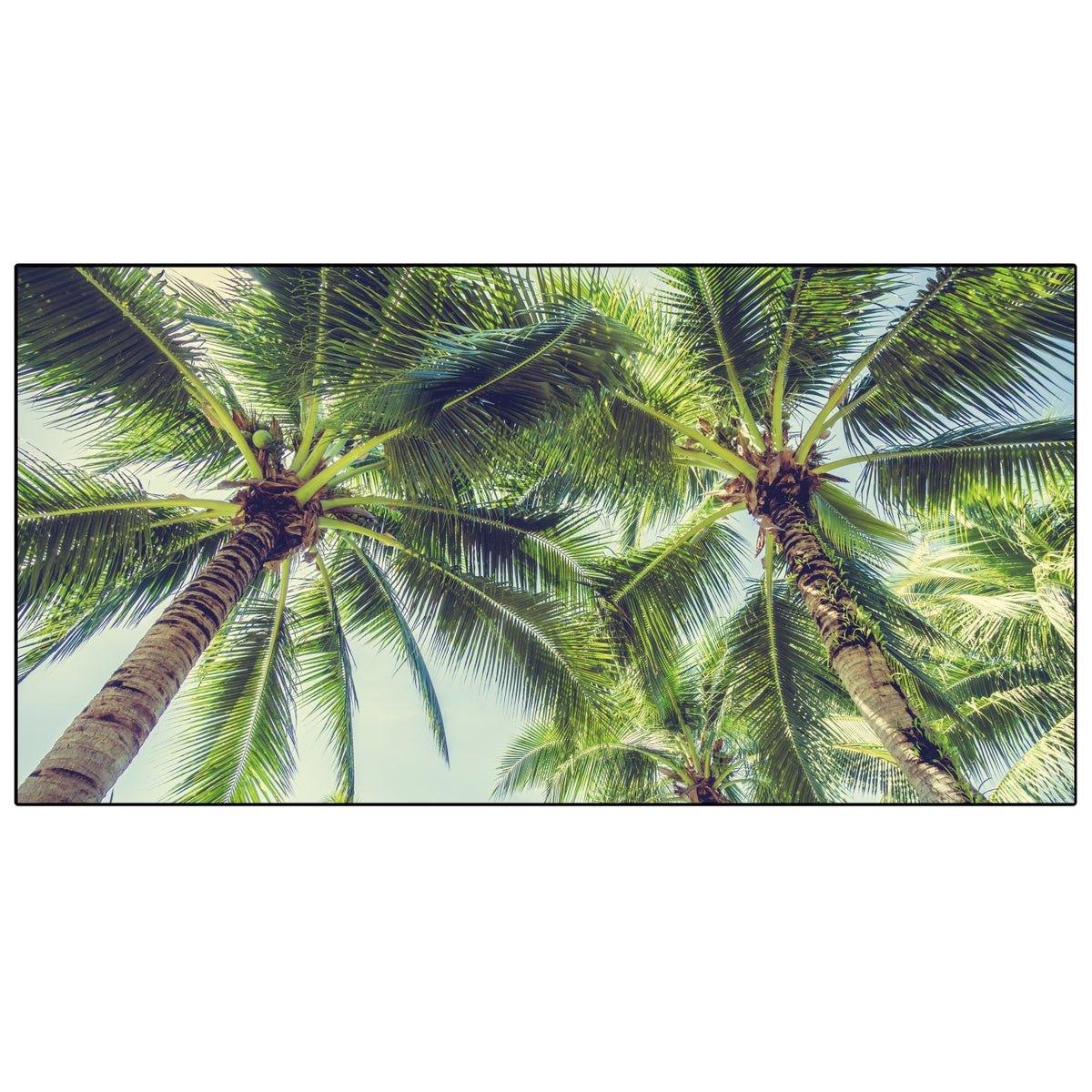 Spritzschutz Küche Palmen