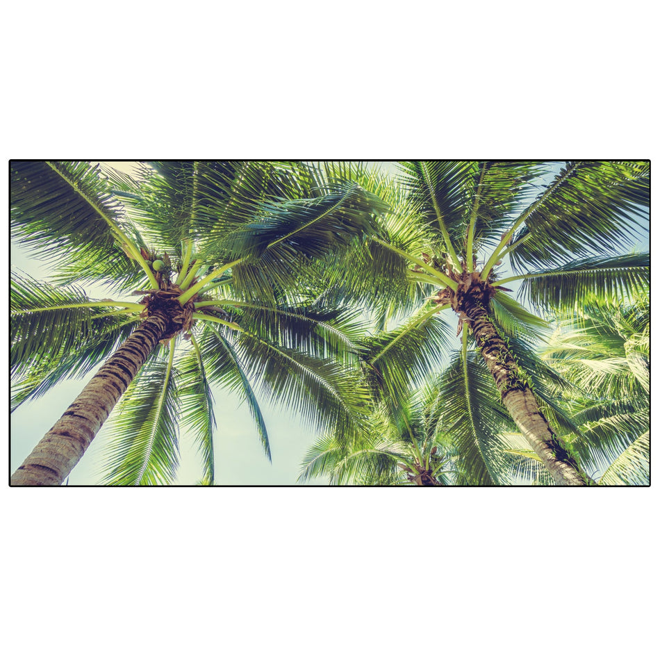 Spritzschutz Küche Palmen