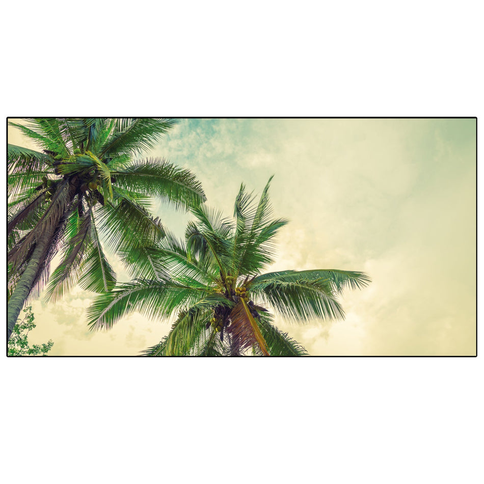 Spritzschutz Küche Palmen