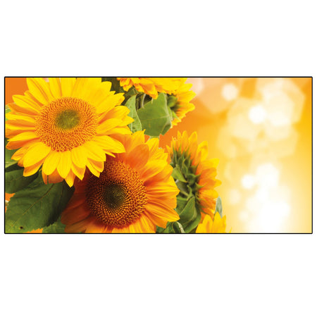 Spritzschutz Küche Sonnenblume