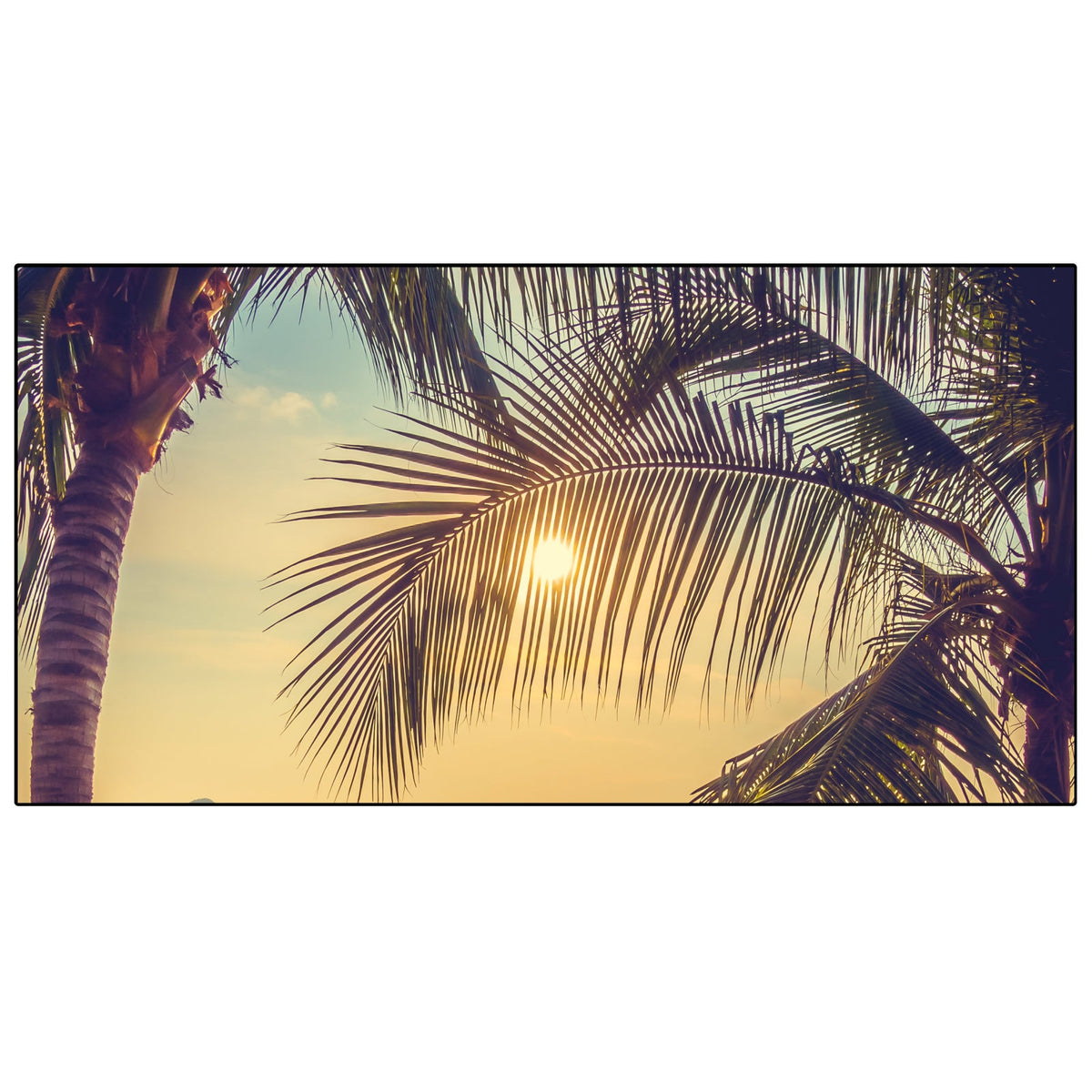 Spritzschutz Küche Palme Sonnenuntergang