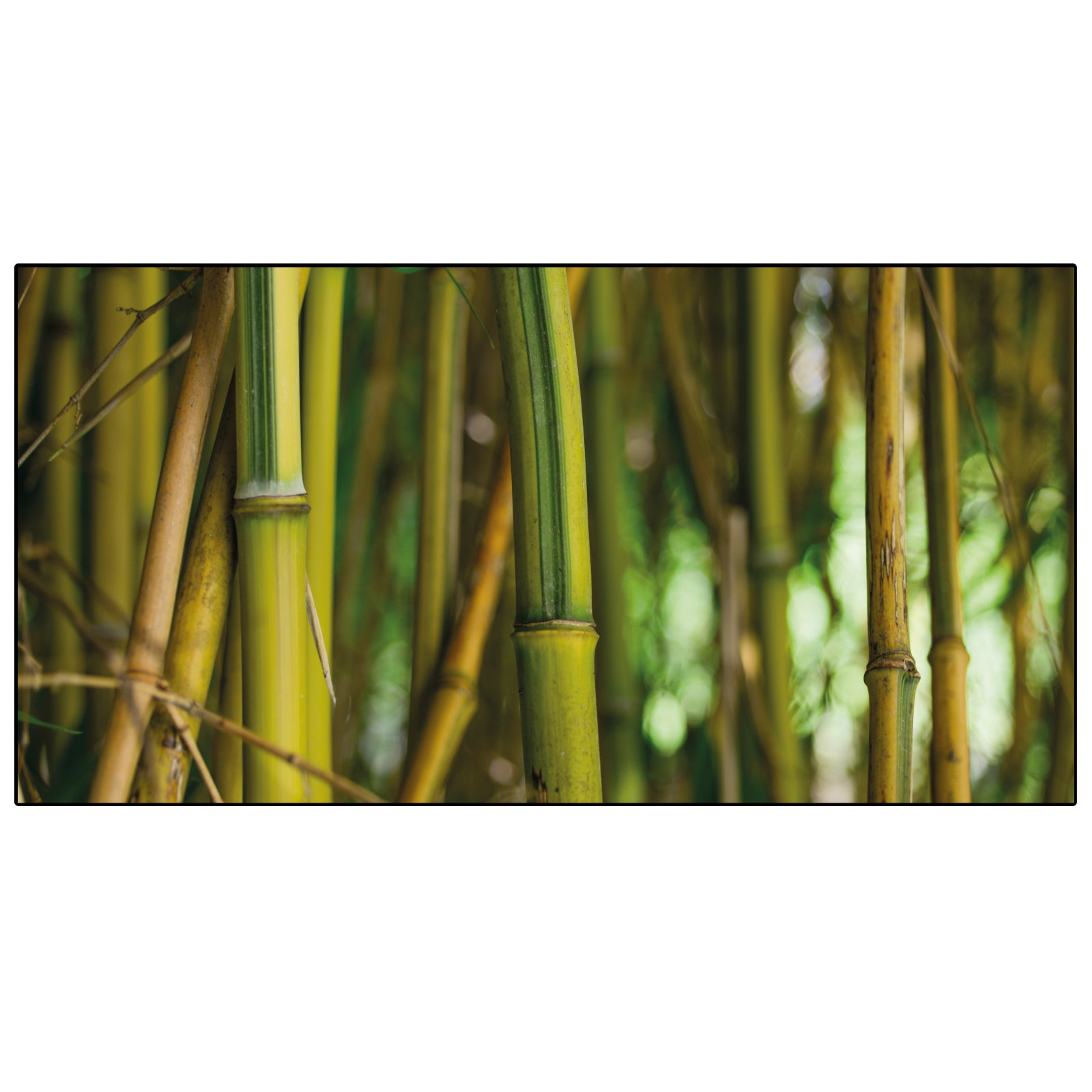 Spritzschutz Küche Bambusstangen