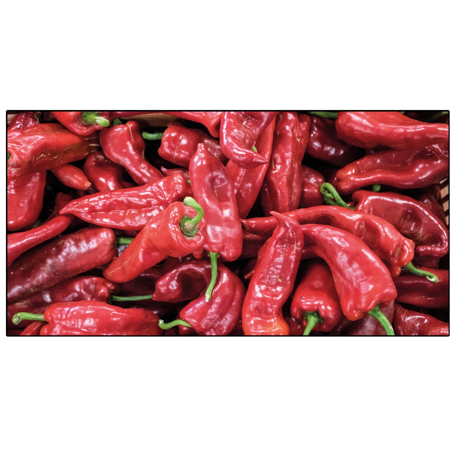 Spritzschutz Küche Rote Spitzpaprika