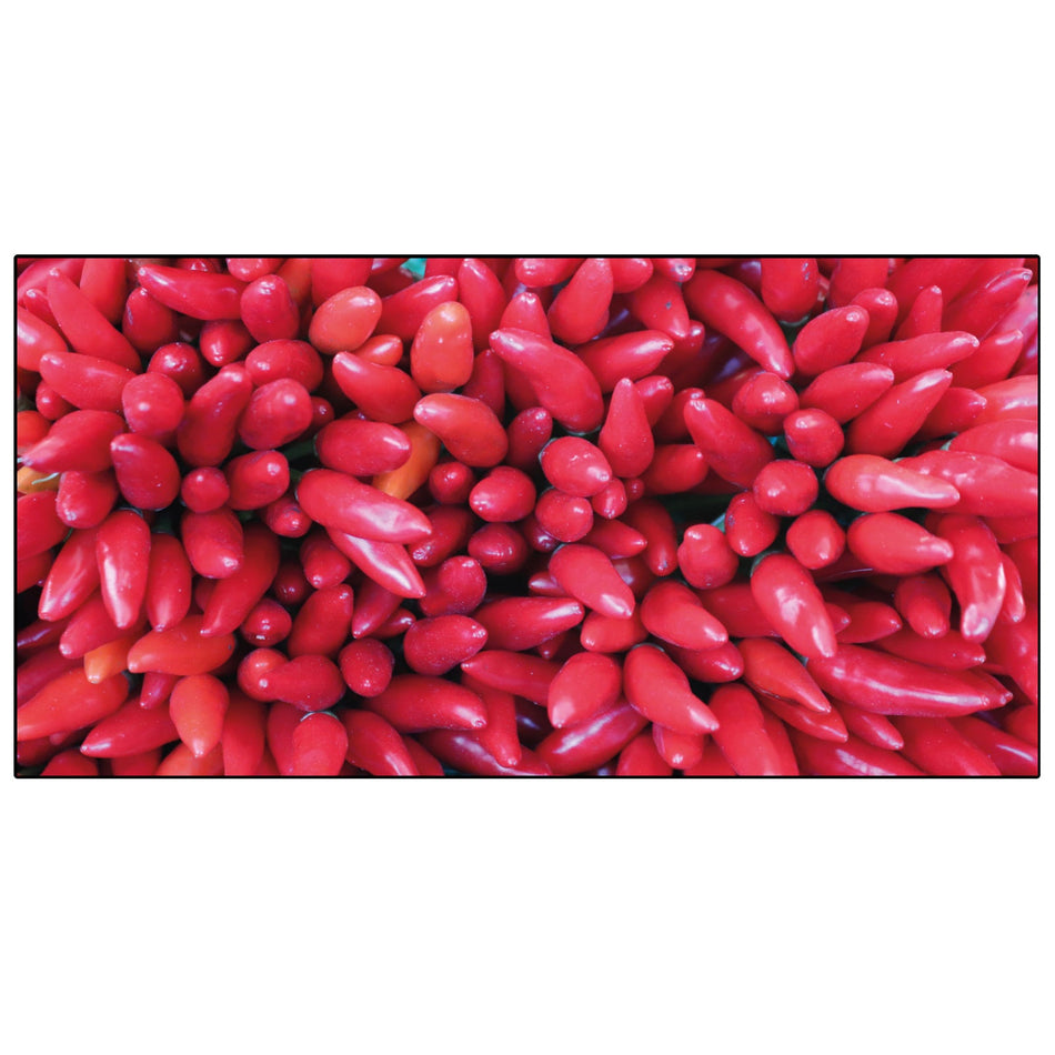 Spritzschutz Küche Rote Peperoni 