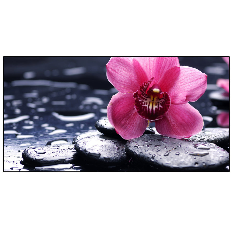 Spritzschutz Küche Pink Orchidee Spa