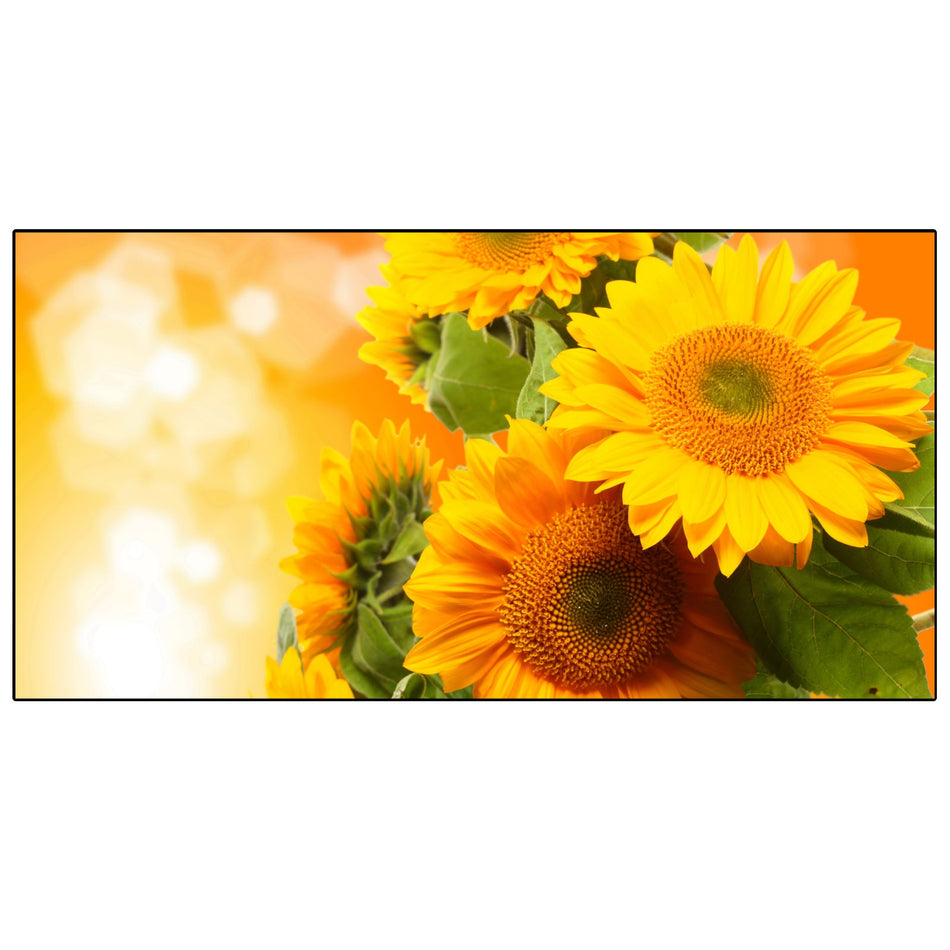 Spritzschutz Küche Sonnenblumen