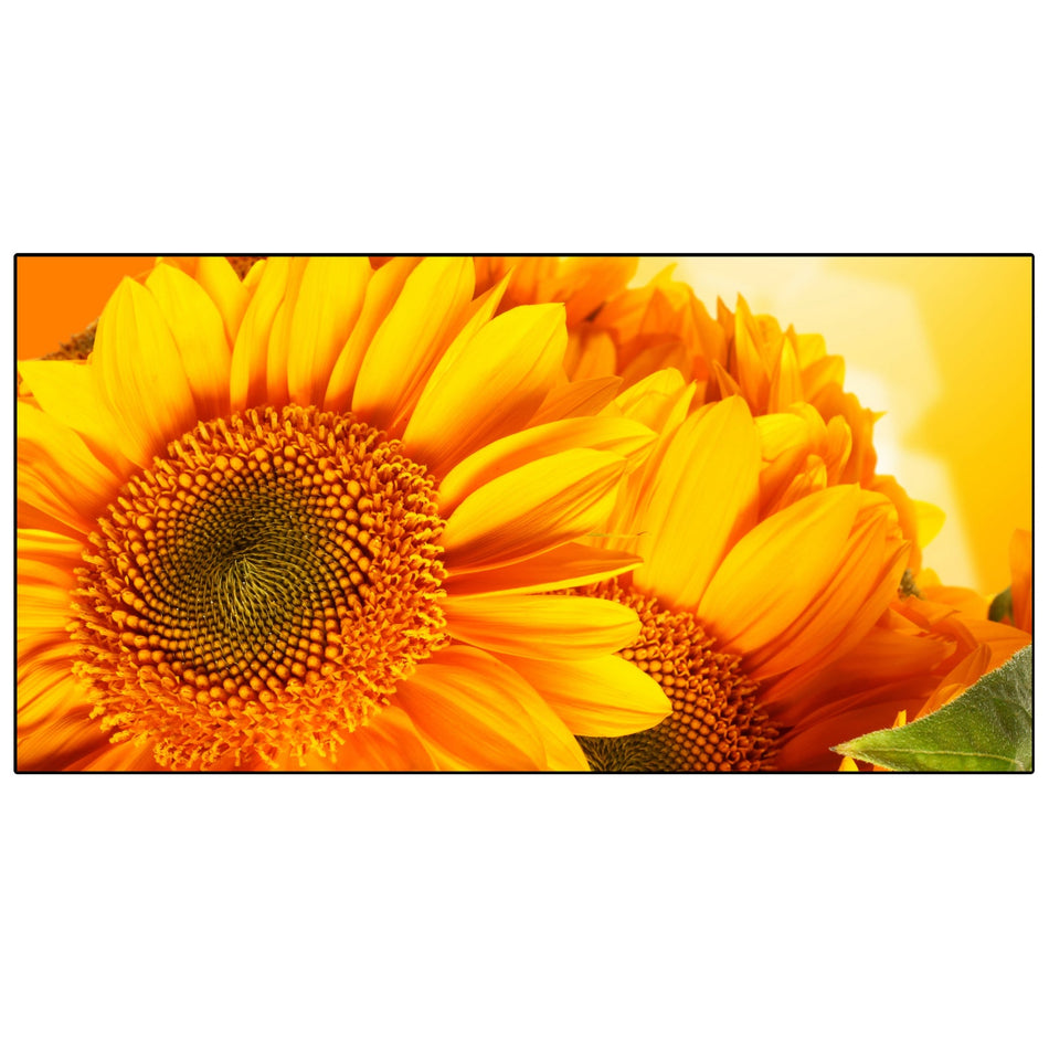 Spritzschutz Küche Sonnenblumen