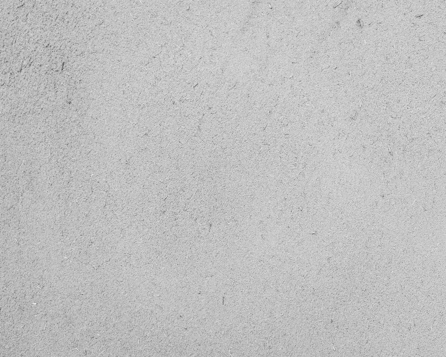 Duschrückwand Betonoptik