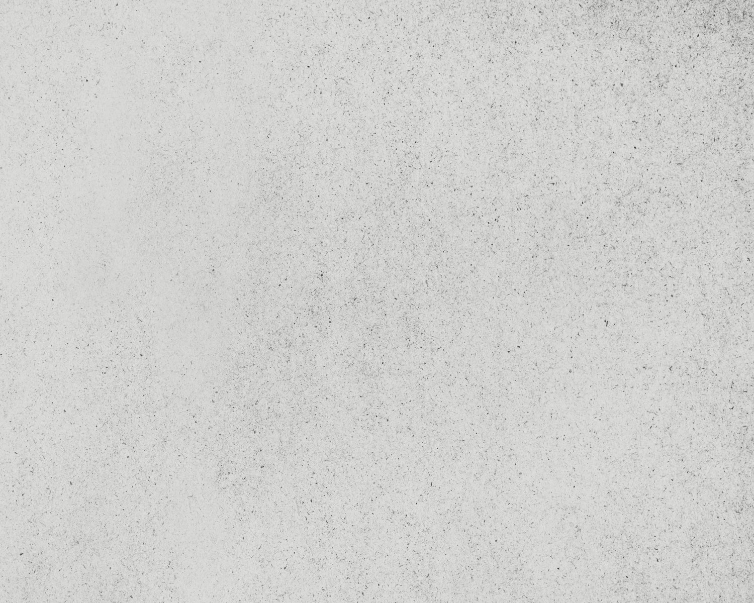 Duschrückwand Betonoptik