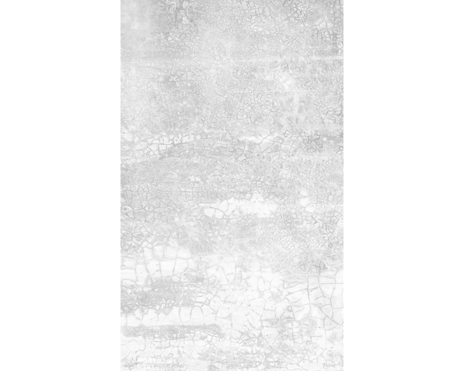 Rückwand Betonoptik