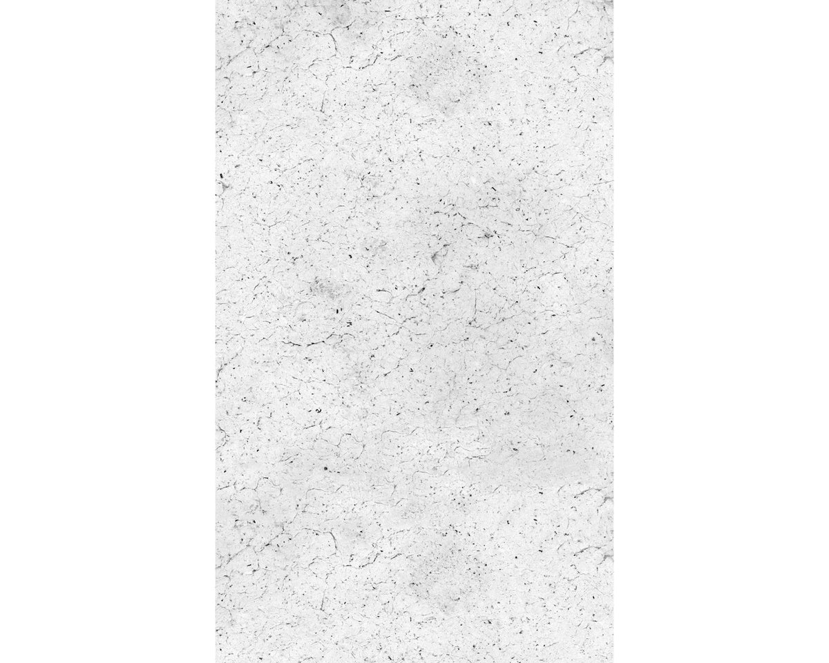 Rückwand Betonoptik