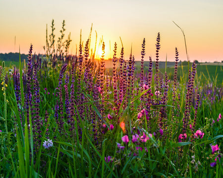 Duschrückwand Bildmotive