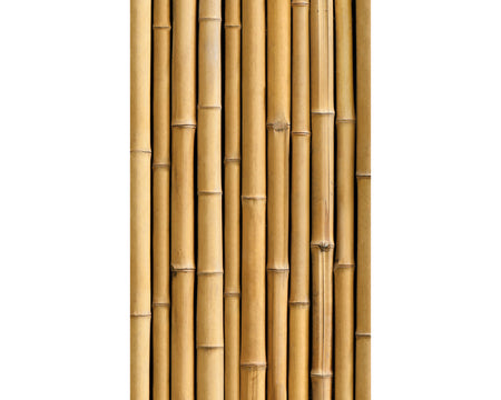Rückwand Bildmotive