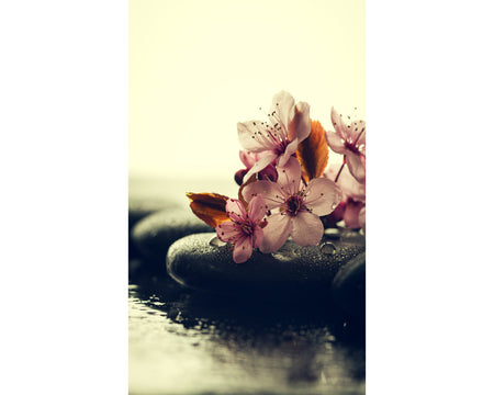 Rückwand Bildmotive