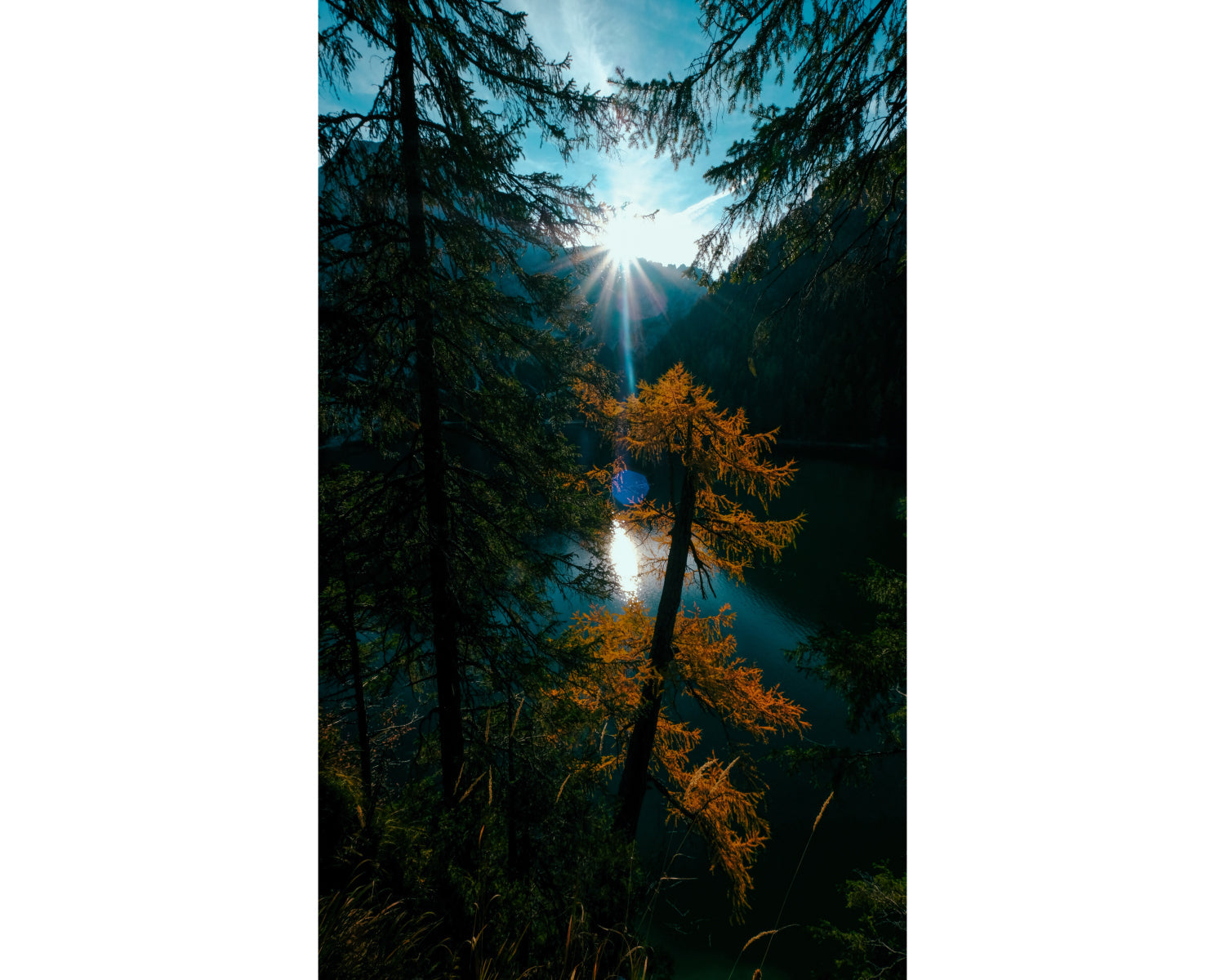 Rückwand Bildmotive