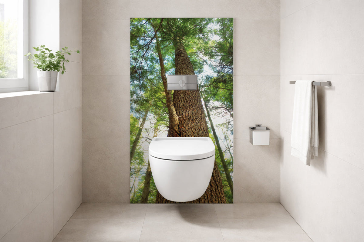 Rückwand Bildmotive