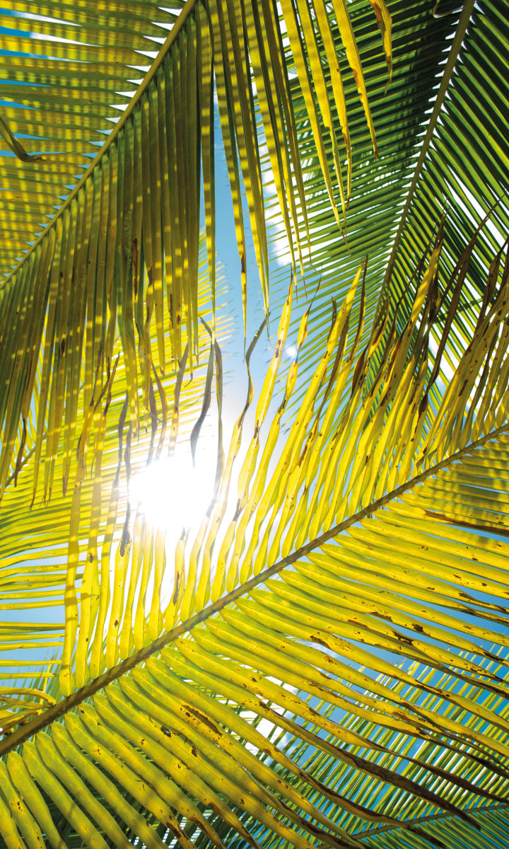 Rückwand Bildmotive