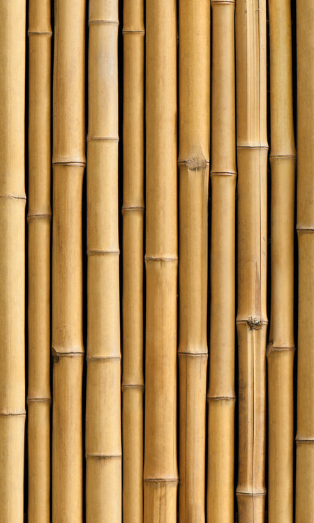 Rückwand Bildmotive