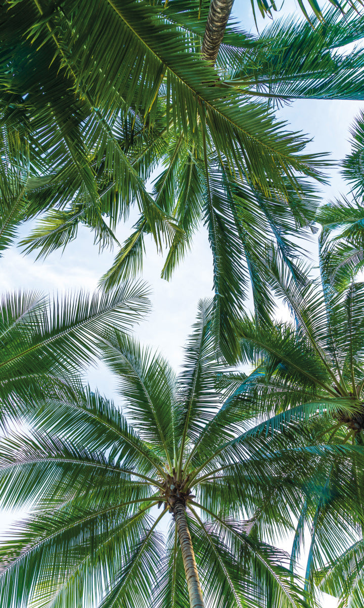 Rückwand Bildmotive
