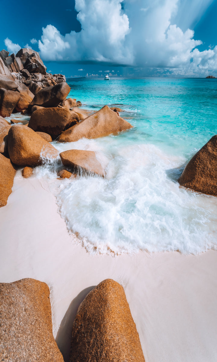 Rückwand Bildmotive