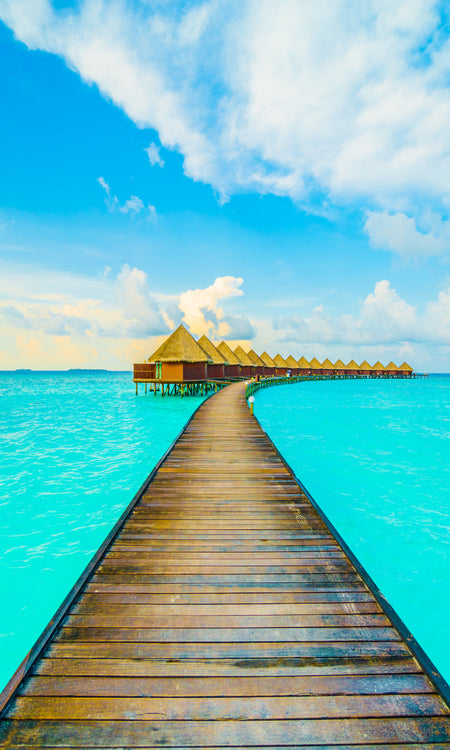 Rückwand Bildmotive