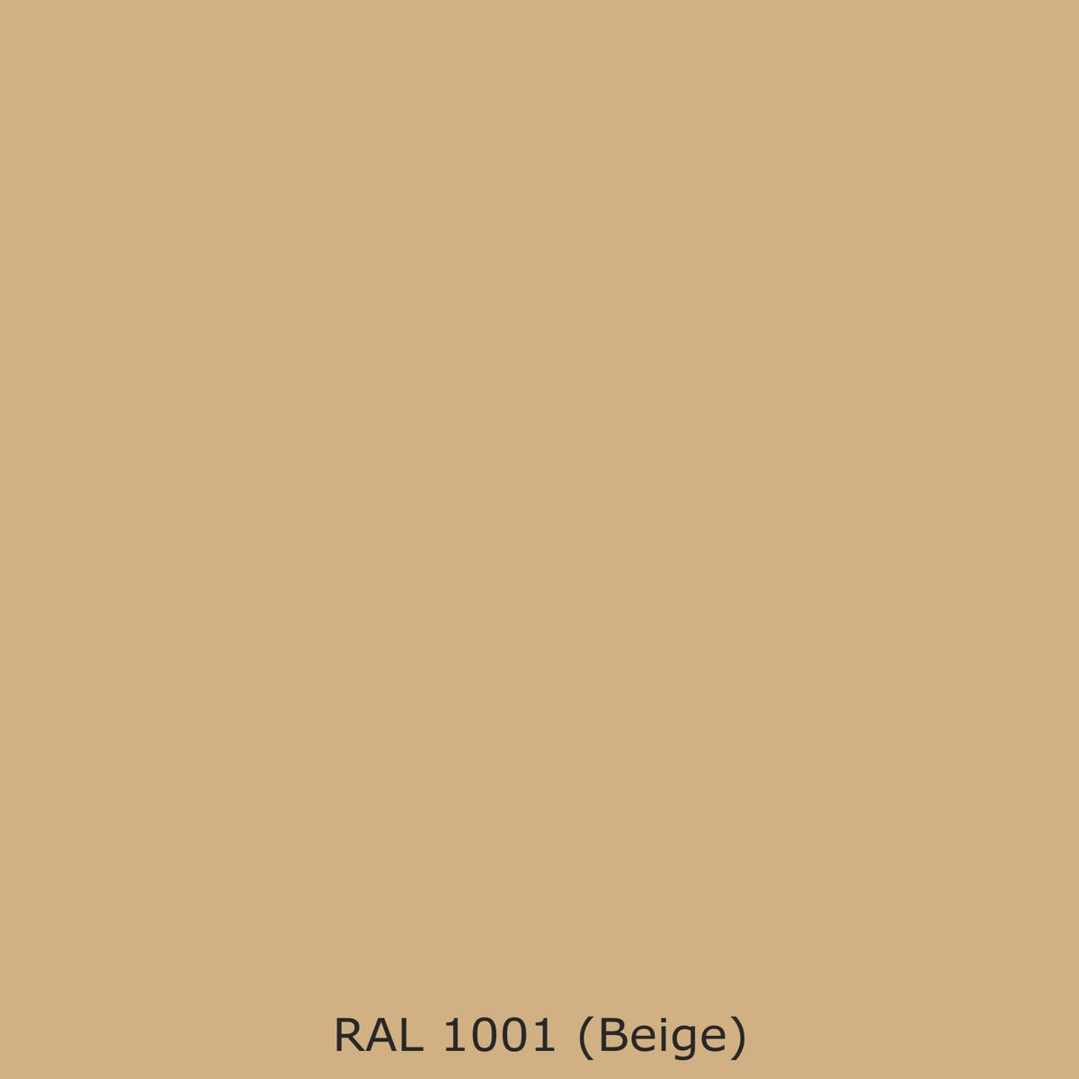 Toilettenrückwand Einfarbig #D0B083 RAL 1001 (Beige)