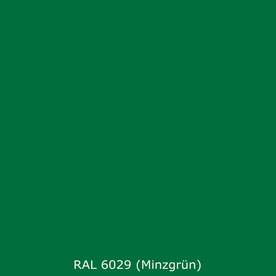 Toilettenrückwand Einfarbig RAL 6029 (Minzgrün)