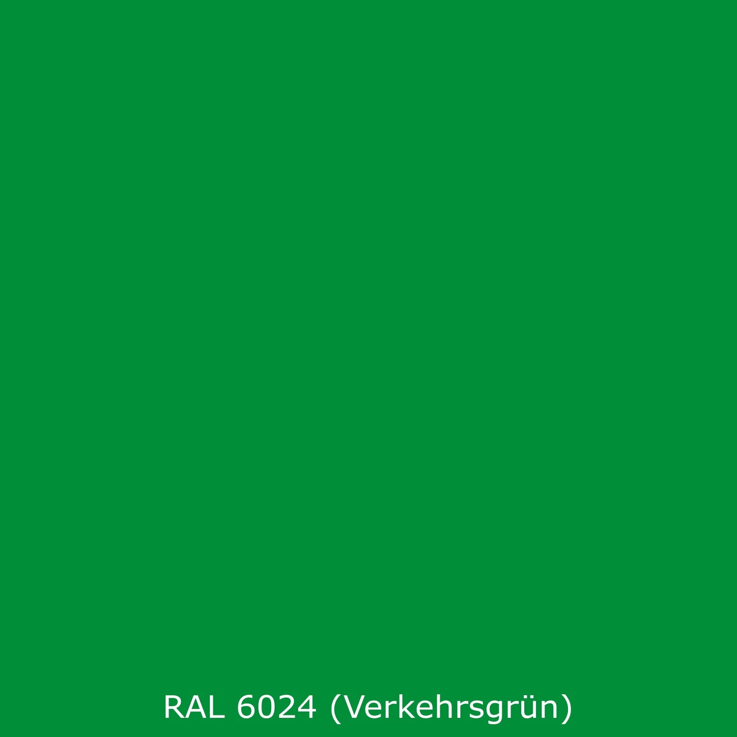 Toilettenrückwand Einfarbig RAL 6024 Verkehrsgrün