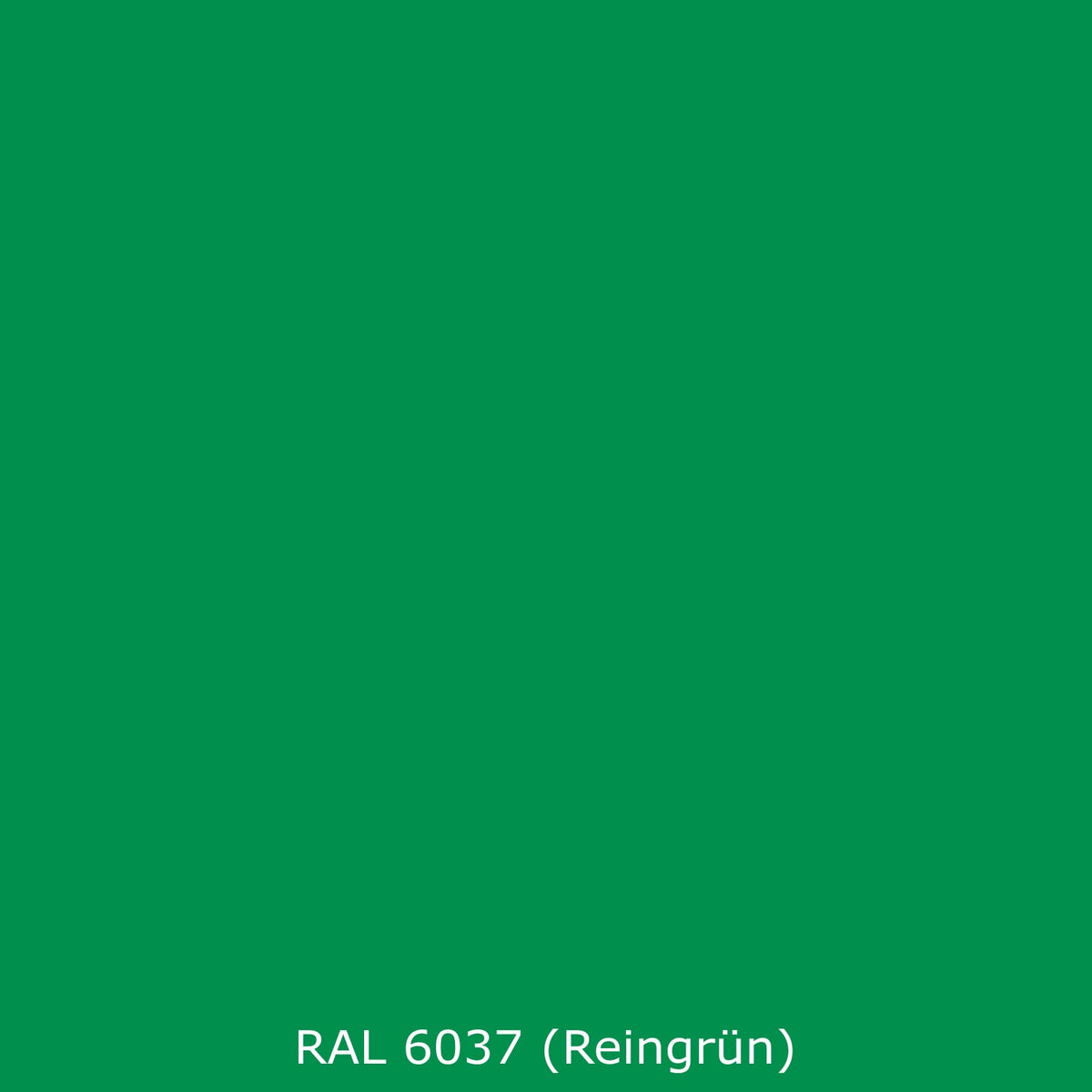 Toilettenrückwand Einfarbig RAL 6037 Reingrün